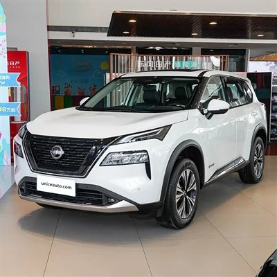 Cat Asal Nissan X-Trail 2023 Terpakai